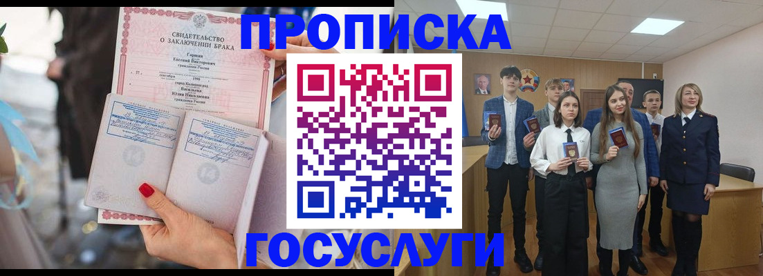 прописка гарантия в Тольятти